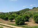 gal/2008-04 Portugal/Adrien/_thb_0102.jpg